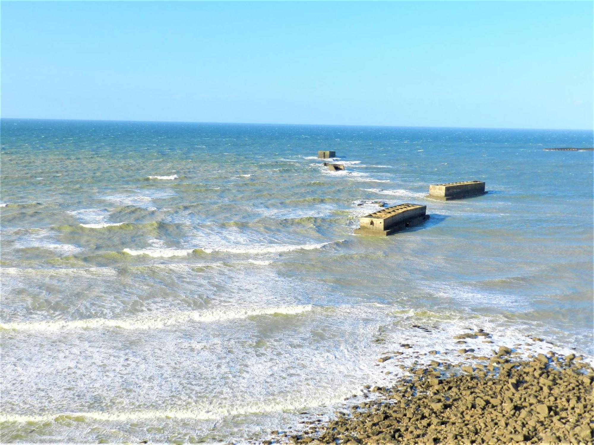 Willa Maison Des Palmiers - Bord De Mer Et Campagne Port-en-Bessin-Huppain Zewnętrze zdjęcie